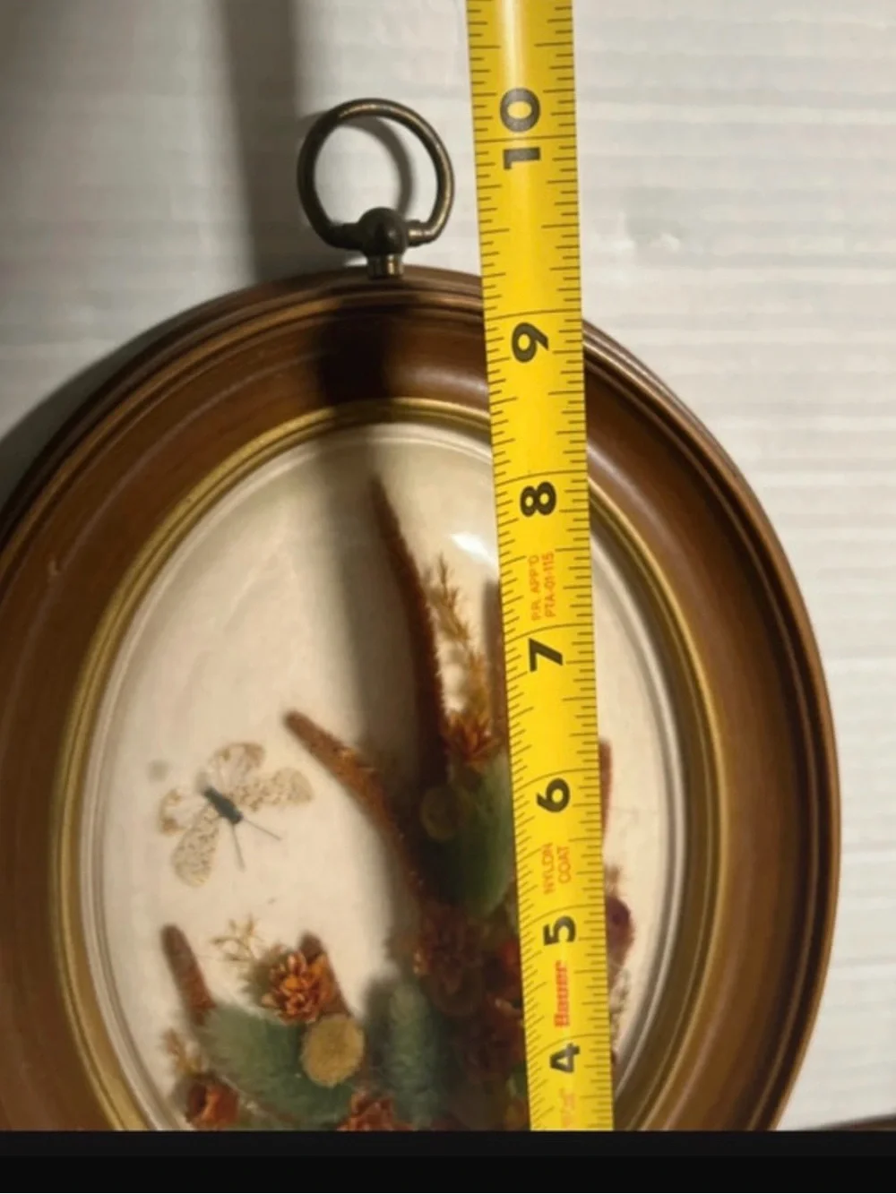 Vintage -Dried pressed flowers and taxidermy butterfly